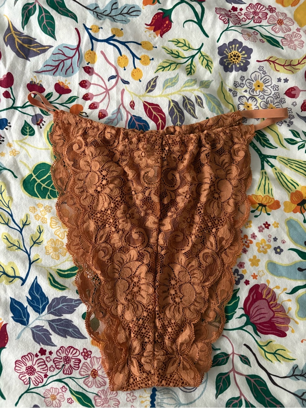 We Are Hah Lace High-Cut Bikini Panty in Rust size XL